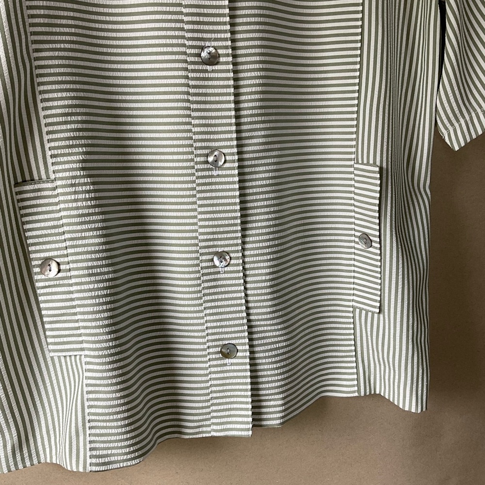 Regan button down shirt. Sage green & white. Size L. - Picture 2 of 9
